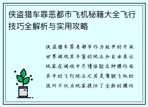 侠盗猎车罪恶都市飞机秘籍大全飞行技巧全解析与实用攻略